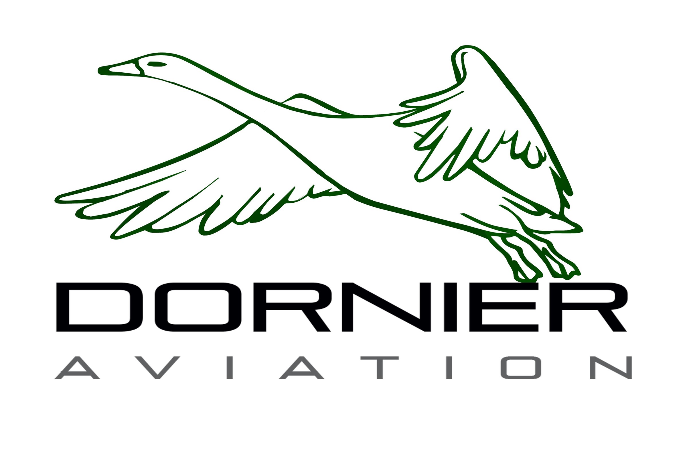 Dornier Aviation Nigeria AIEP